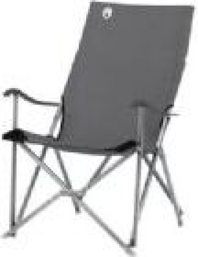 2000038342, 113 kg, Campingstol, 4 ben, 3,7 kg, Polyester, Grå