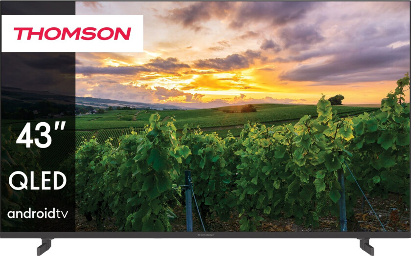 43" QA2S13 4K QLED smart TV (2023)