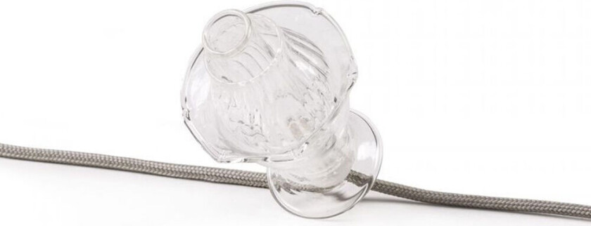 Floralia Lights With Flower in Glass Transparent