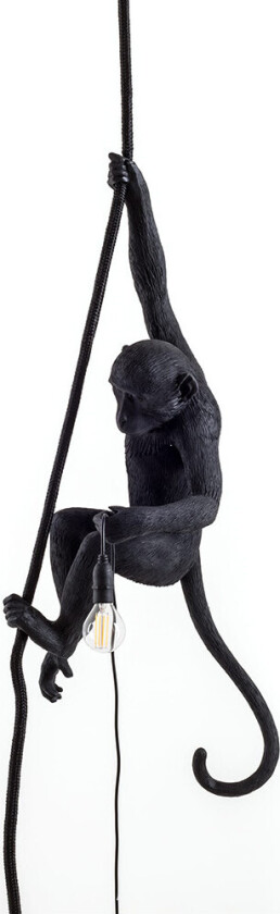Monkey Lamp Outdoor Ceiling Black