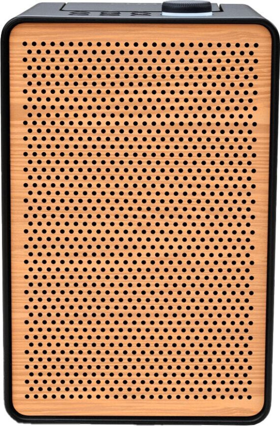 Evoke Spot Wood Edition digitalradio (sort)