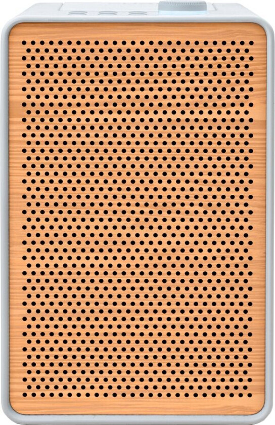 Evoke Spot Wood Edition digitalradio (hvit)