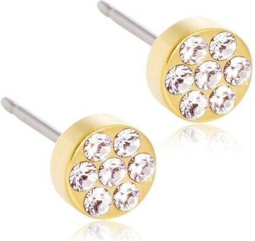 Golden Titanium Brilliance Plenary 5mm Crystal