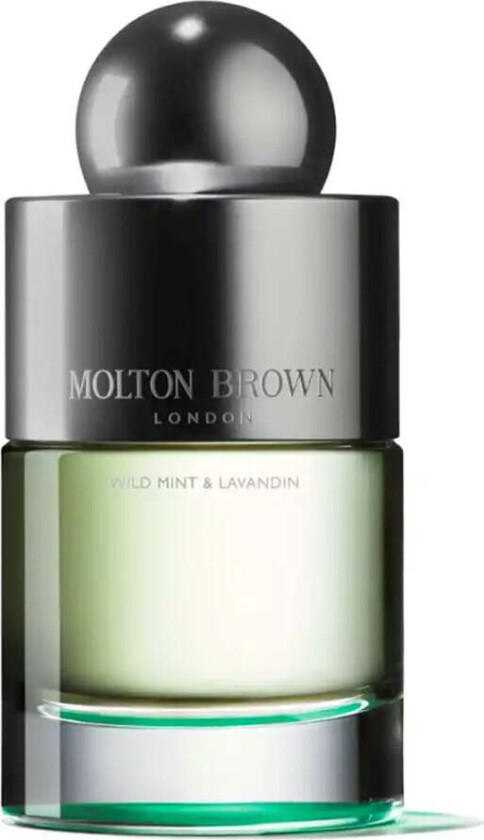 Wild Mint & Lavandin EdT 100 ml