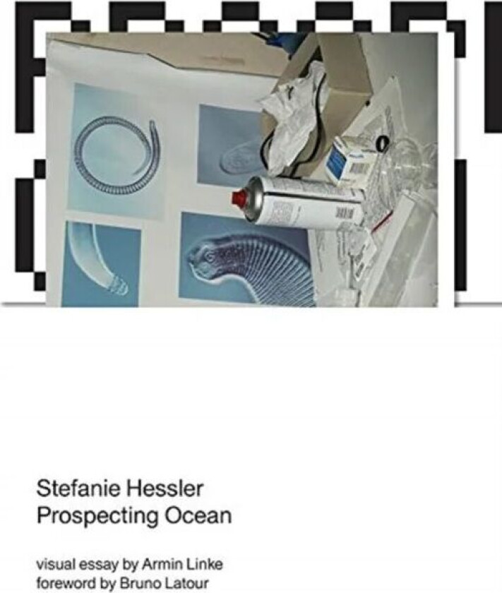 Prospecting Ocean av Stefanie (Curator of TBA21-Academy Thyssen-Bornemisza Art Contemporary) Hessler