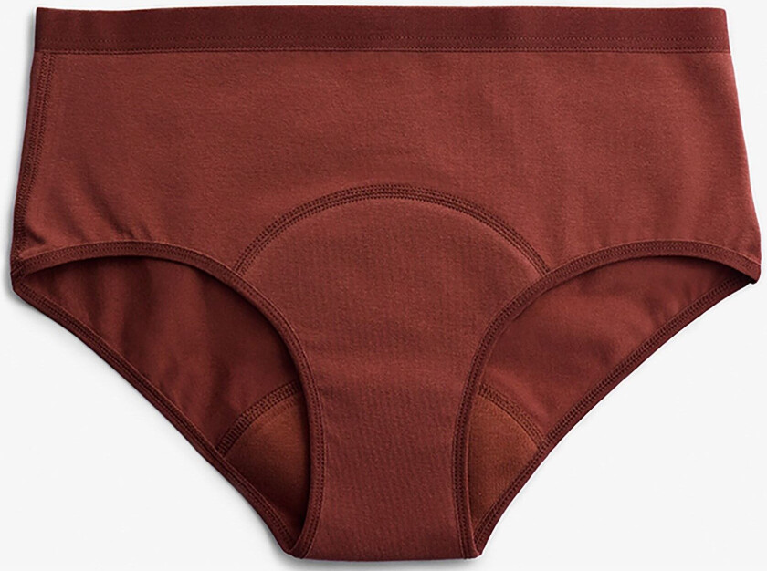 Period Underwear Hipster Light Flow Rusty Bordeaux S