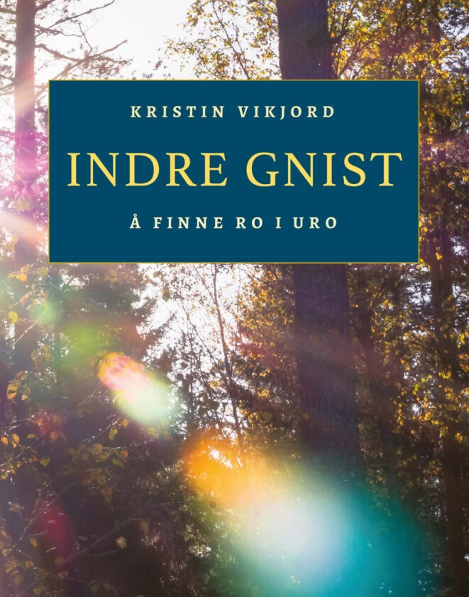 Indre gnist av Kristin Skotnes Vikjord