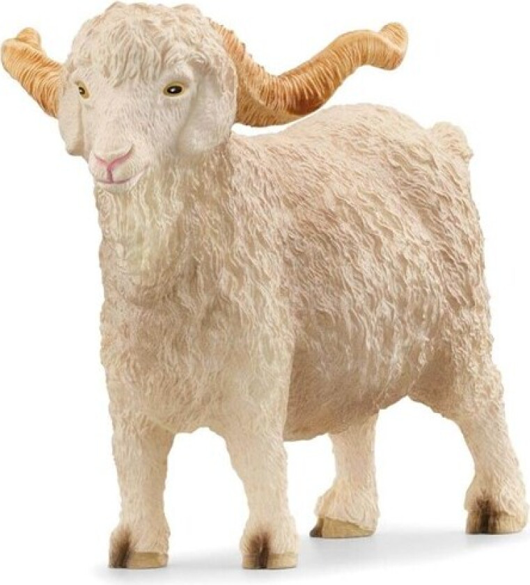 Bilde av Angora Goat