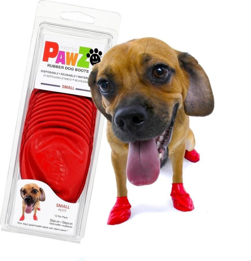 Sko Pawz Hund Rød 20