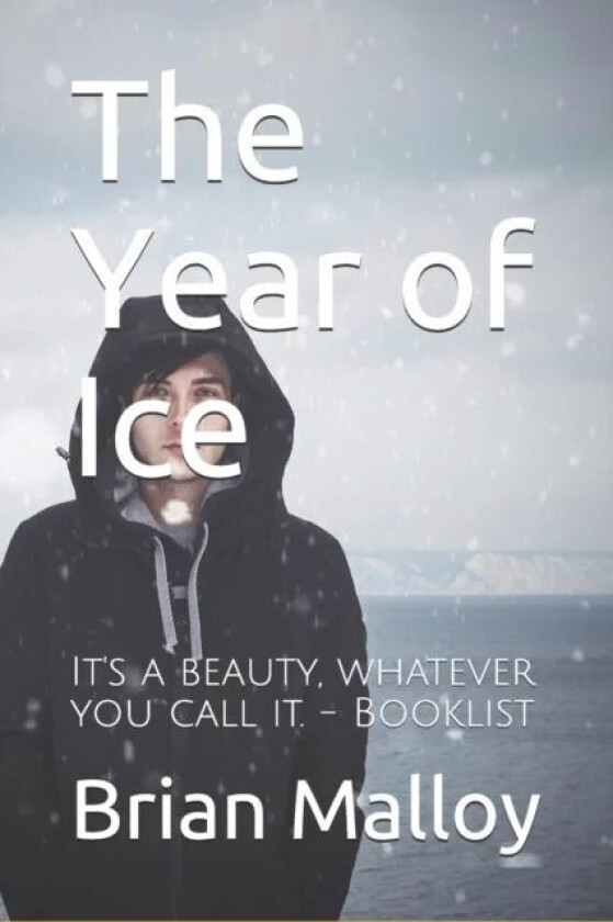 The Year of Ice av Brian Malloy