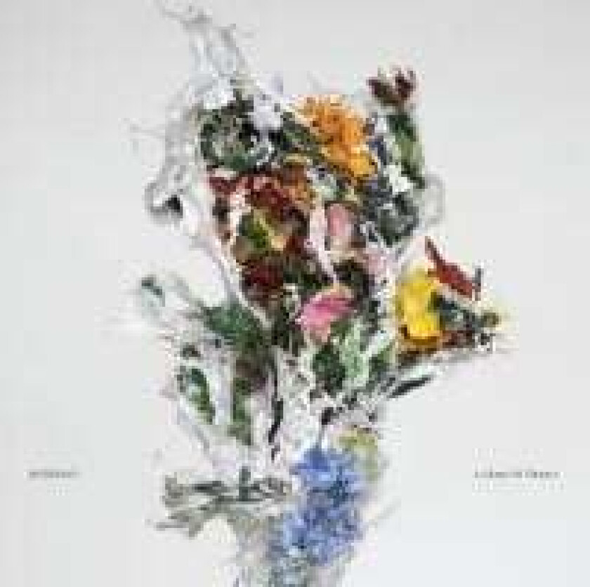 Big Brave - A Chaos Of Flowers