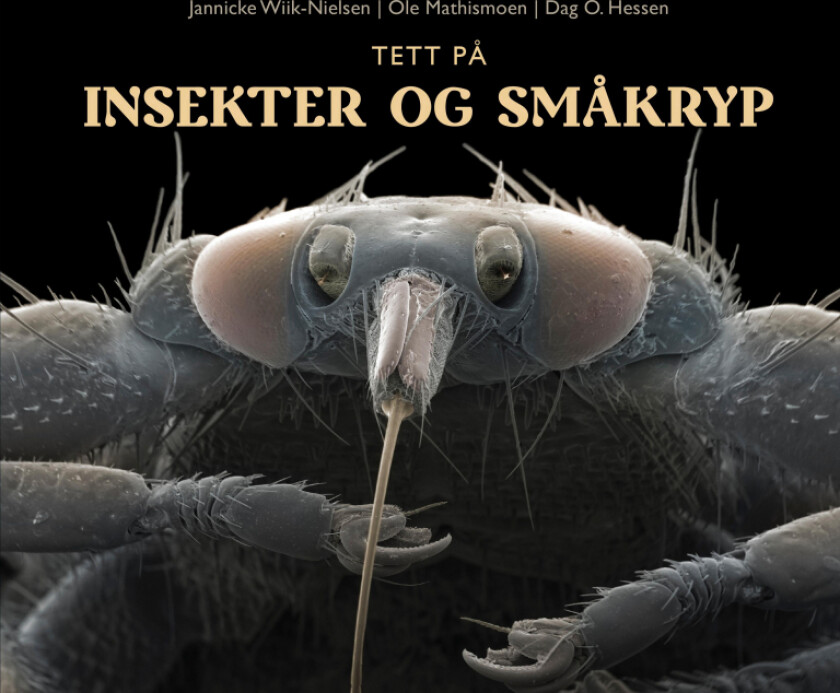 Tett på insekter og småkryp