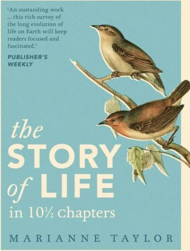 The Story of Life in 101/2 Chapters av Marianne Taylor