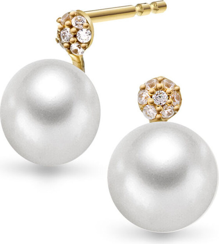 , Øredobber i 585 gult gull med ferskvannsperler og zirkonia