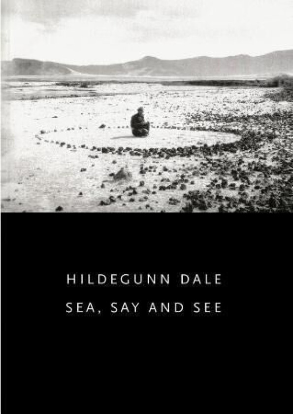 Sea, say and see av Hildegunn Dale