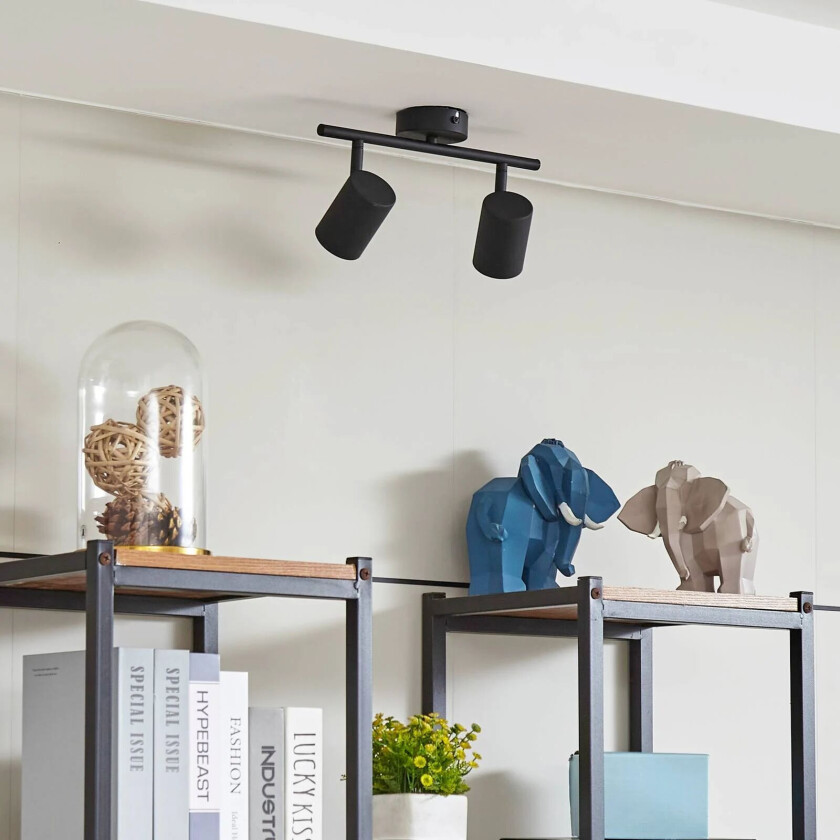 Jorell downlight, smal, svart, 2 lyskilder