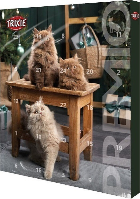 Adventskalender Premio for Katter