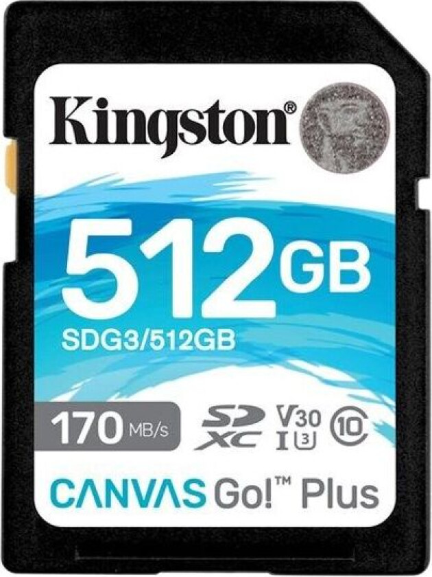 Canvas Go! Plus 512gb Sdxc Uhs-i Memory Card
