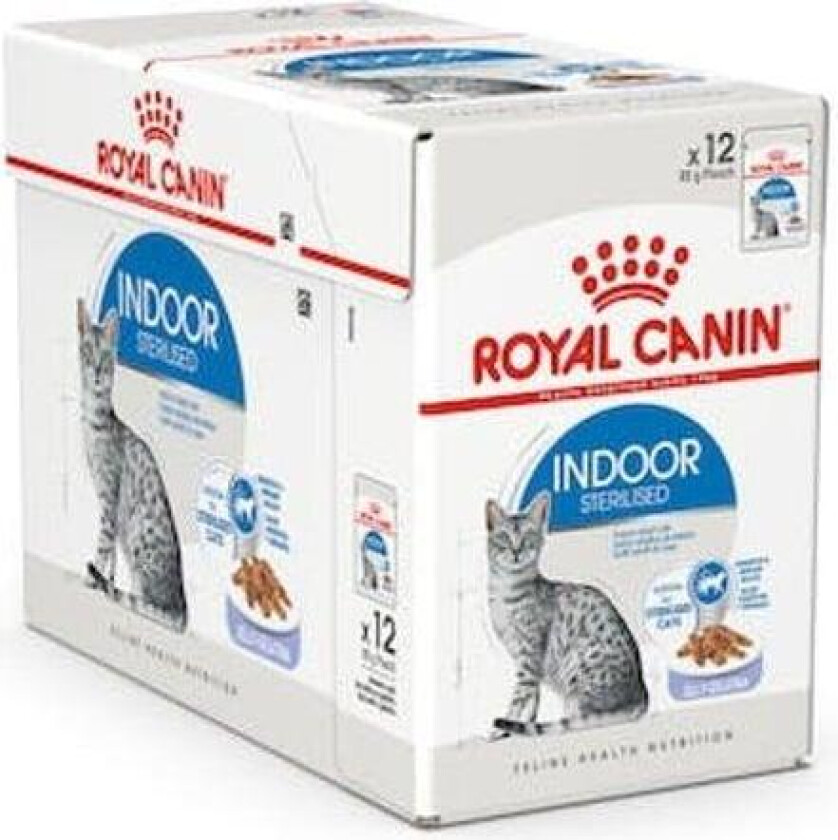 Royal Canin Indoor in Jelly Adult