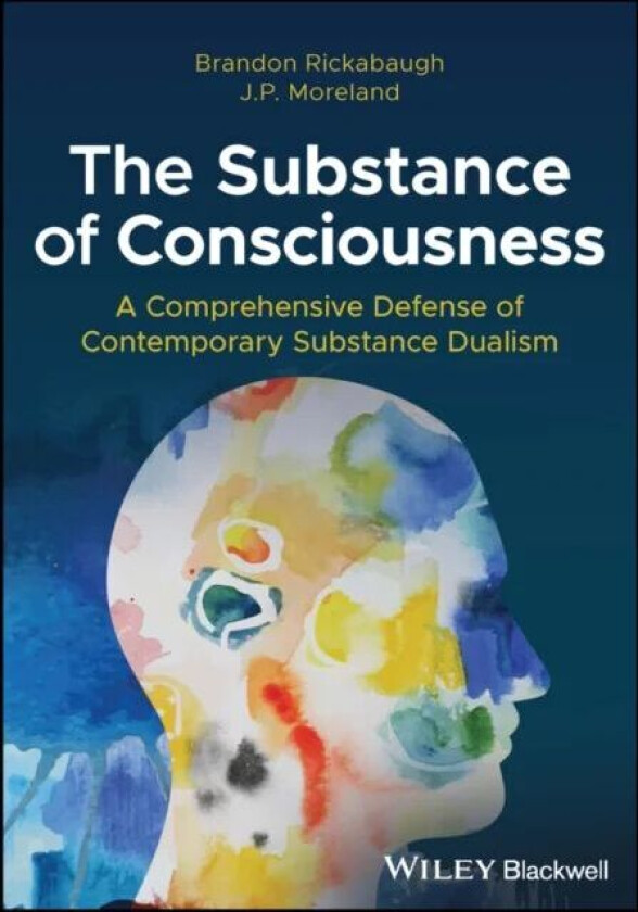 The Substance of Consciousness av Brandon (Palm Beach Atlantic University) Rickabaugh, J. P. (Biola University) Moreland