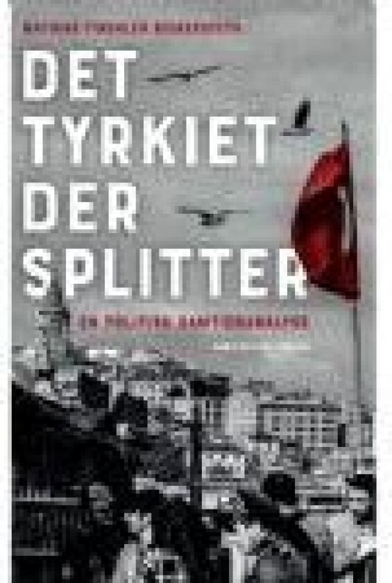 Det Tyrkiet der splitter   Mathias Findalen Bickersteth   Språk: Dansk