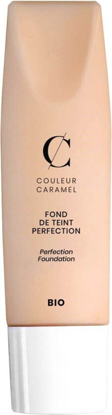 Perfection foundation n°31 Beige