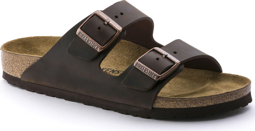 Unisex Arizona Oiled Leather Regular 48, Habana