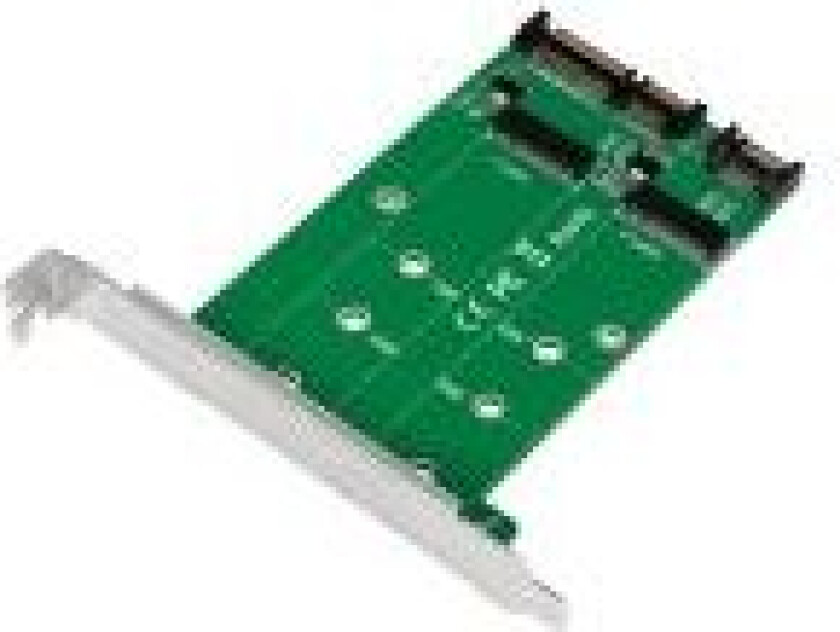 2x SATA to 2x M.2 SATA SSD Adapter