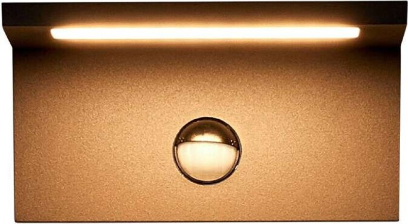 Kantet LED-utevegglampe Darina, bevegelsessensor