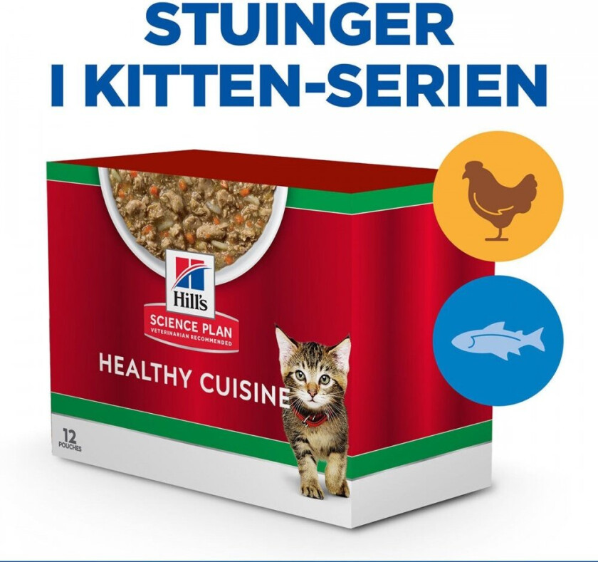 Hill's Science Plan Kitten Healthy Cuisine Chicken/Ocean Fish & Vegetables 12x80 g