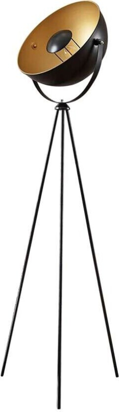 Svart og gyllen tripod-gulvlampe Meline