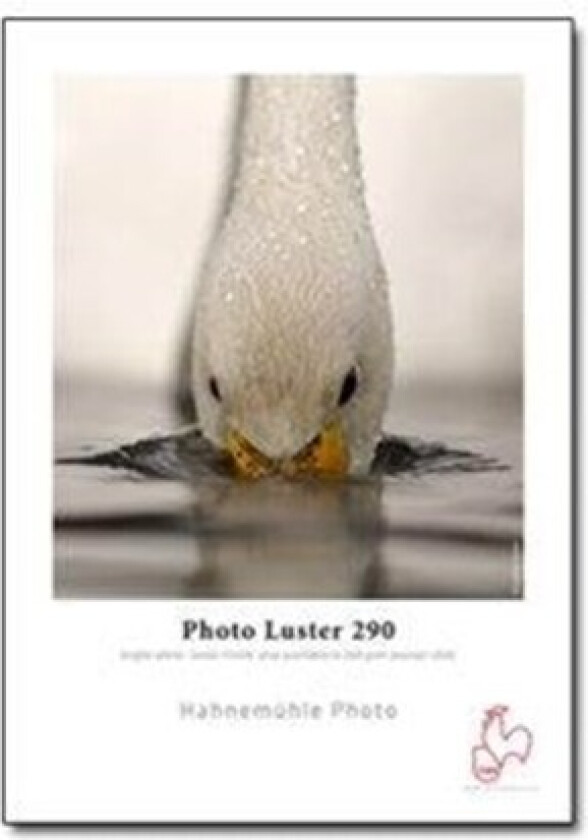 Digital FineArt Photo Luster