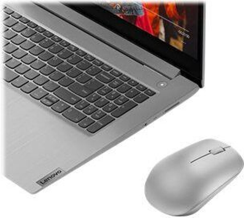 530 Wireless Mouse - mouse - 2.4 GHz - platinum grey - Mus - Optisk - 3 knapper - Grå