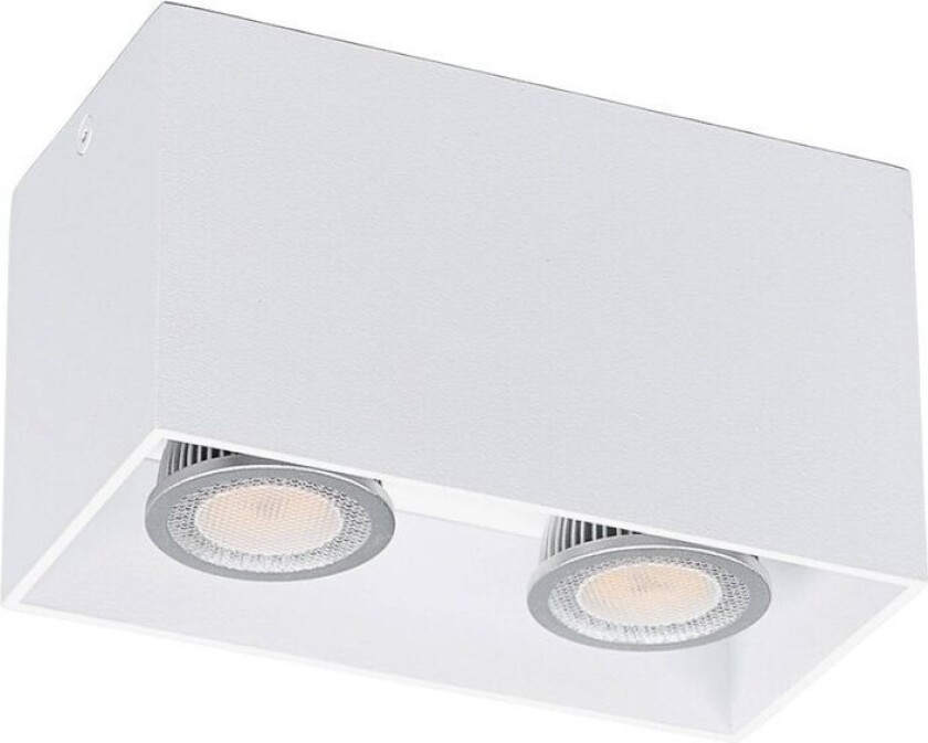 2 lys Utenpåliggende downlight Carson i hvitt