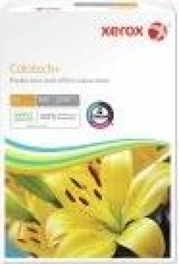 Kopipapir Colotech+ FSC 160g A3 hvid - (250 ark)