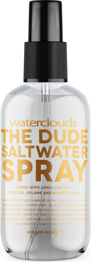 The Dude Saltwater Spray