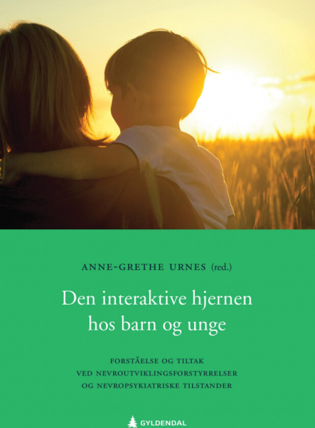 Den interaktive hjernen hos barn og unge