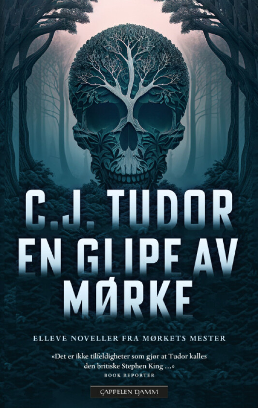 En glipe av mørke av C.J. Tudor