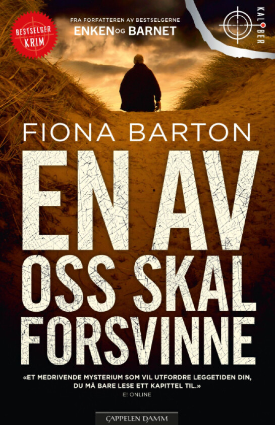 En av oss skal forsvinne av Fiona Barton