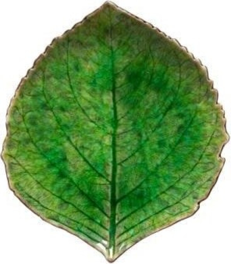 Asiet hydrangea leaf Riviera 17 x 15 cm Green/Black Ceramic
