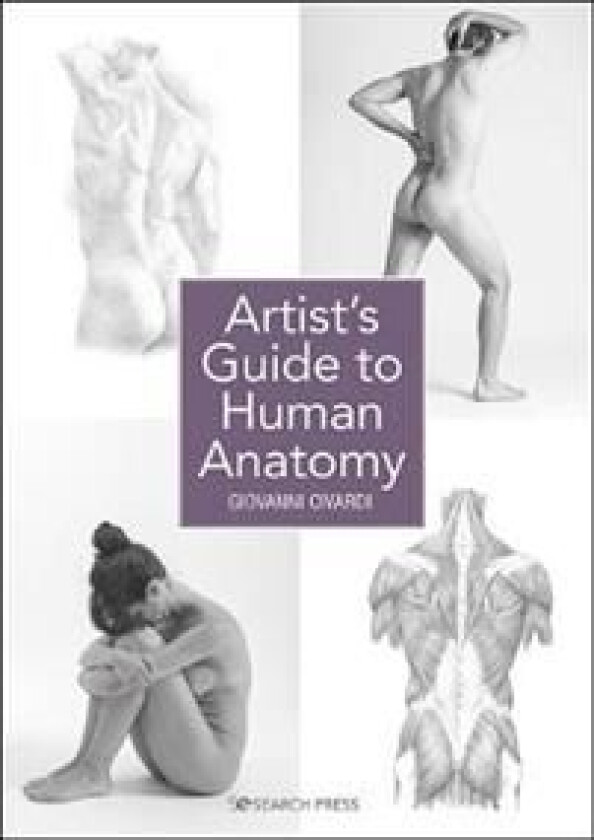 Artist's Guide to Human Anatomy av Giovanni Civardi