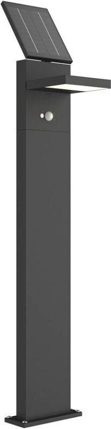 Solcelle-LED-veilampe Silvan med sensor, 100 cm