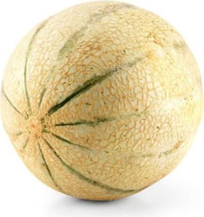 Cantaloupe hel Melon