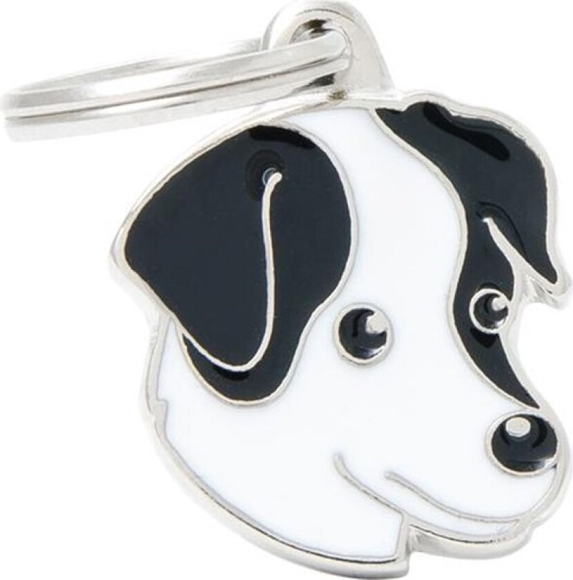 Black and White Jack Russell ID Dog Tag