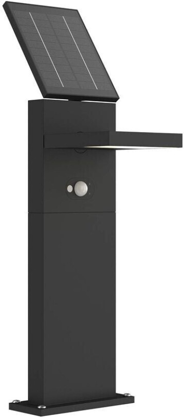 Solcelle-LED-veilampe Silvan med sensor, 60 cm