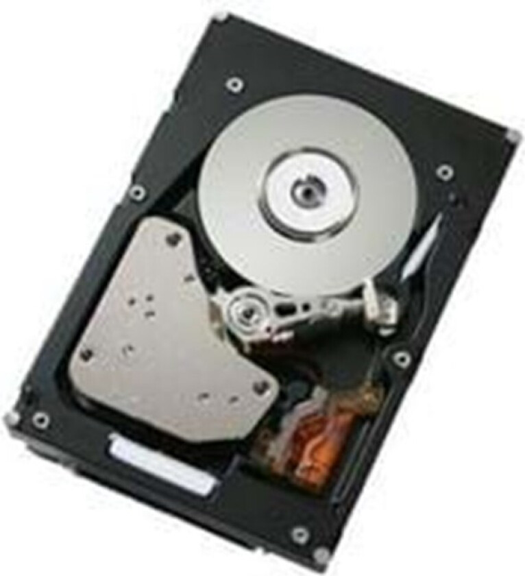 900GB 2.5IN 10.000 RPM - 900GB - Harddisk - 81Y9915 - SAS2 - 2.5"