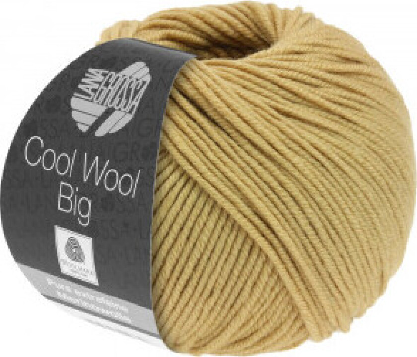 Cool Wool Big Garn 988