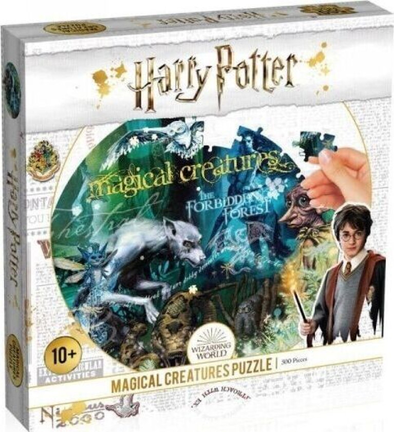 Harry Potter Magical Creatures (500) Gulv