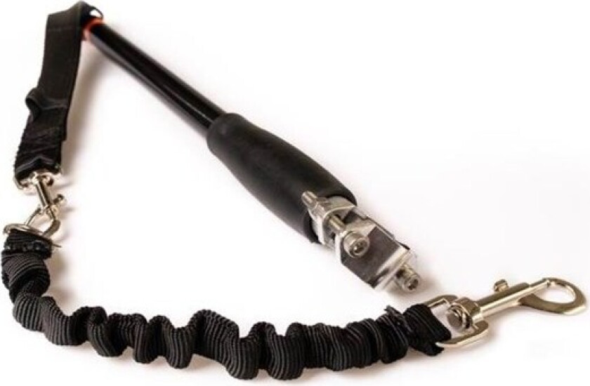 Dog Bike Exerciser Leash