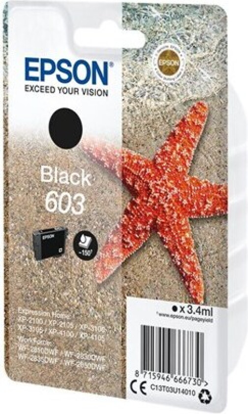 Singlepack Black 603 Ink